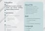 create handyman, plumbing, roofing, and cleaning wordpress website